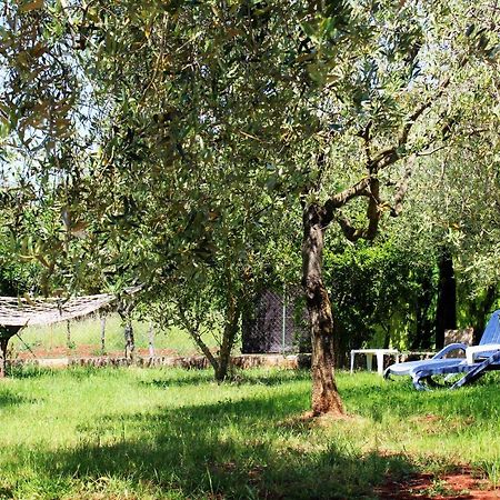 Oliven Garden Villa Rovinj Exterior foto