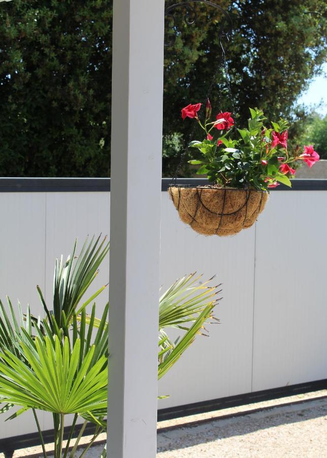 Oliven Garden Villa Rovinj Exterior foto