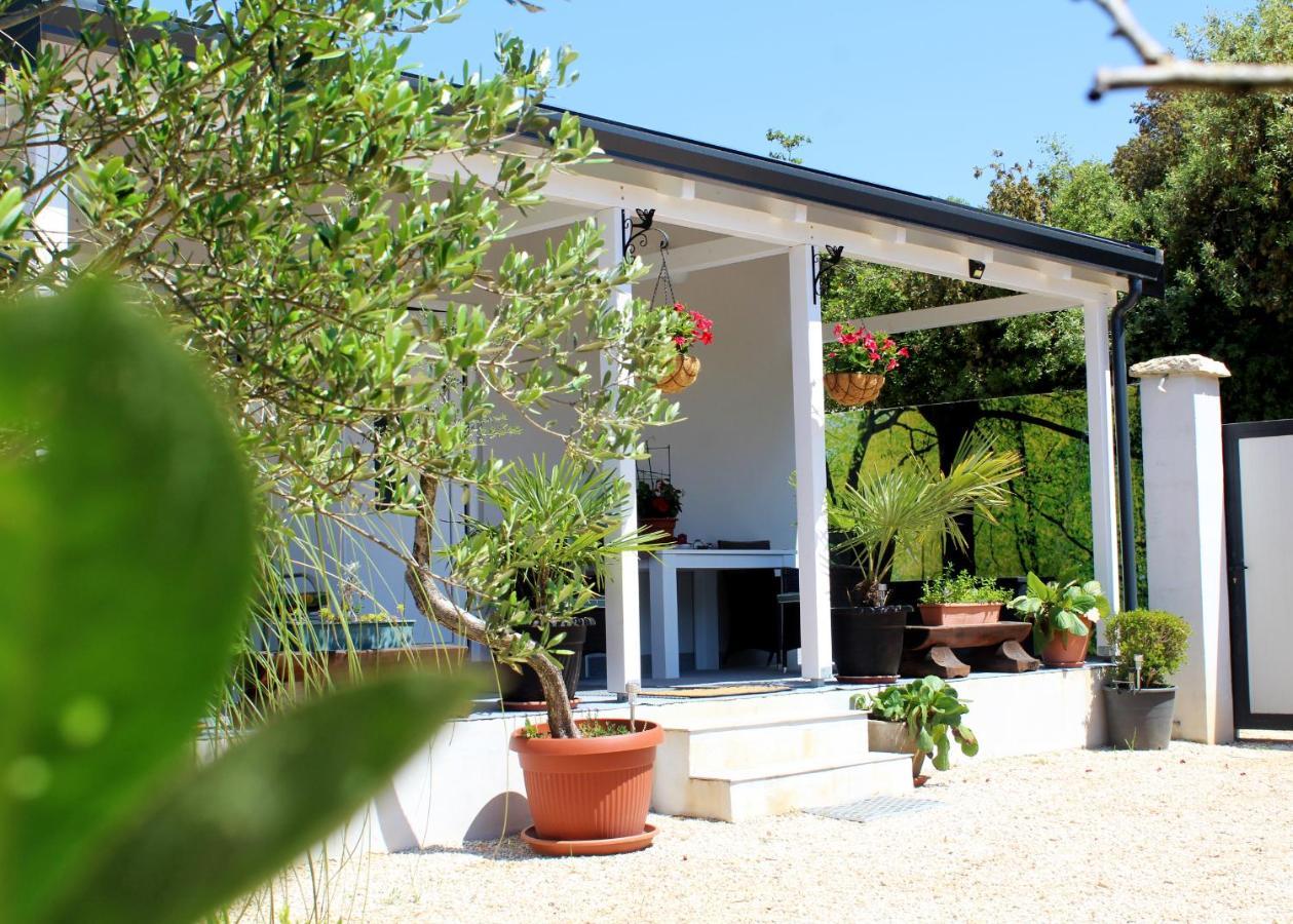Oliven Garden Villa Rovinj Exterior foto