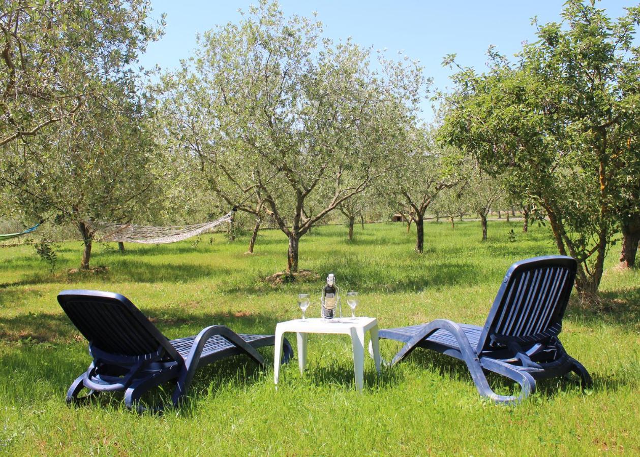 Oliven Garden Villa Rovinj Exterior foto