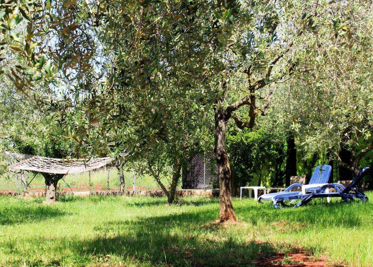 Oliven Garden Villa Rovinj Exterior foto